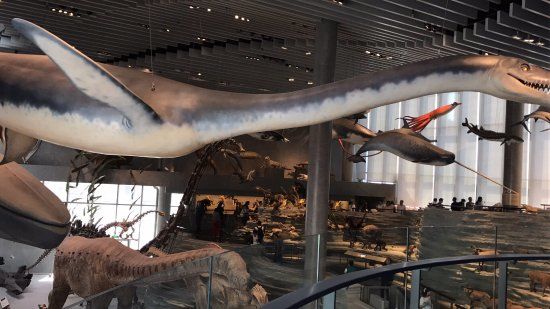 Shanghais naturhistoriske museum